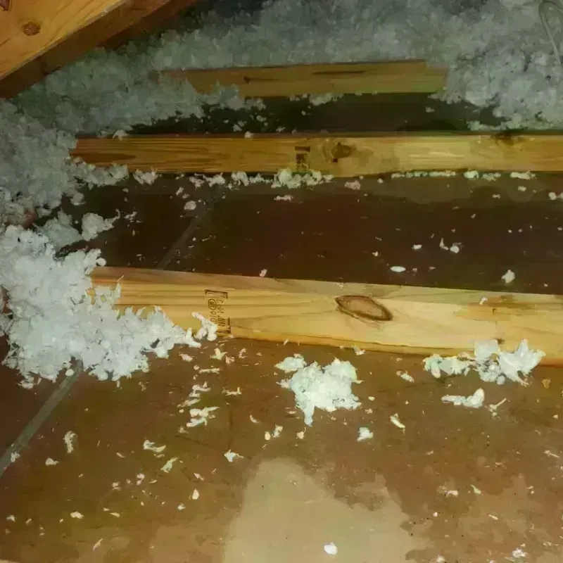 Attic Water Damage in Yankton, SD