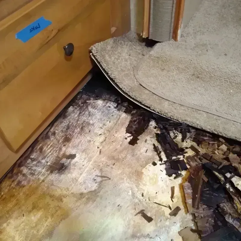 Wood Floor Water Damage in Yankton, SD